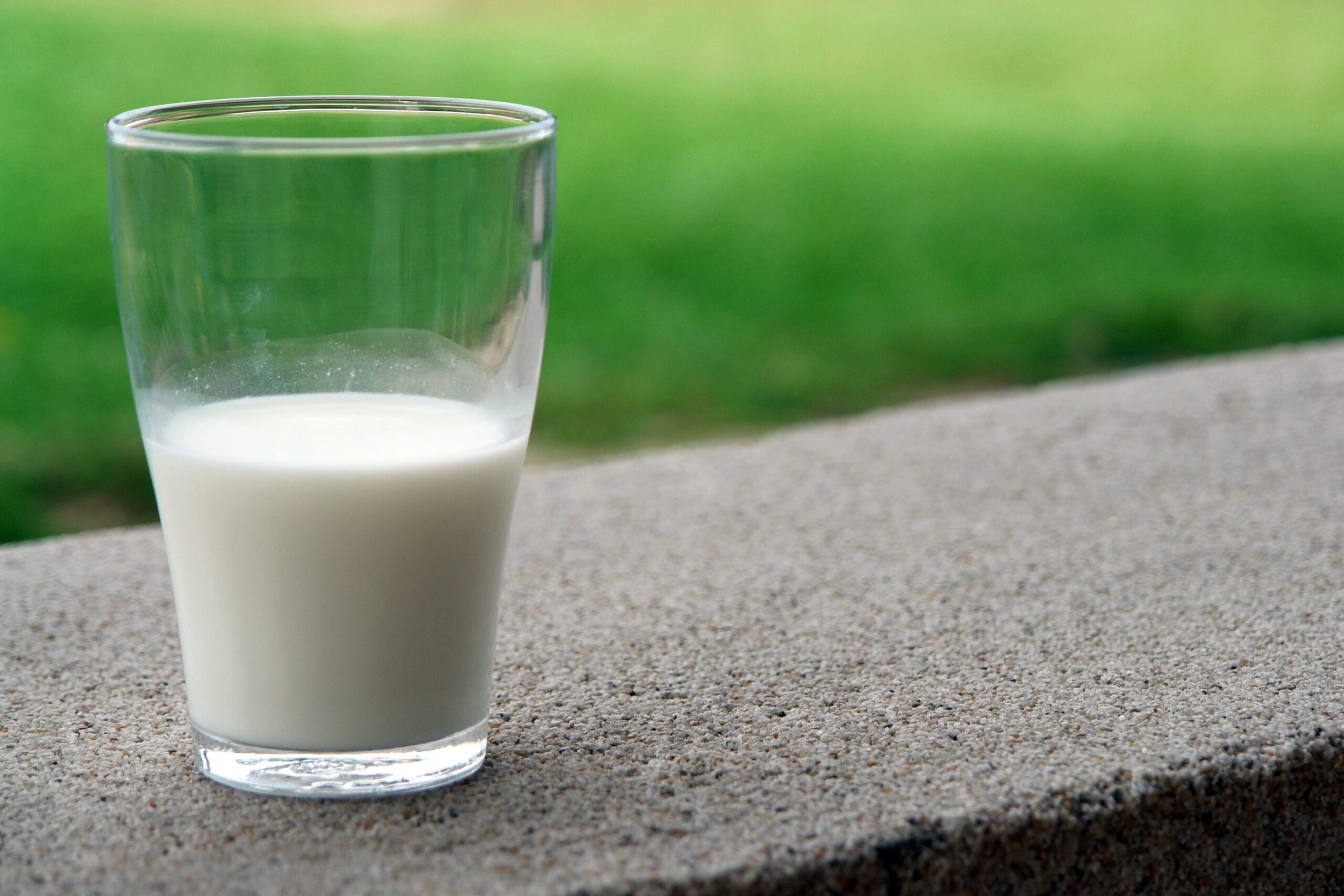 Ett glas mjölk står på en betongkant, gräsmatta i bakgrunden.